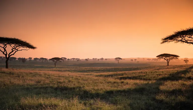 Sabana al atardecer