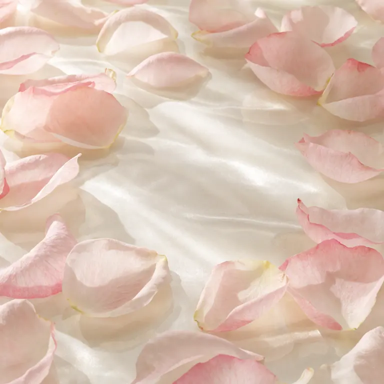 Pétalos de rosa