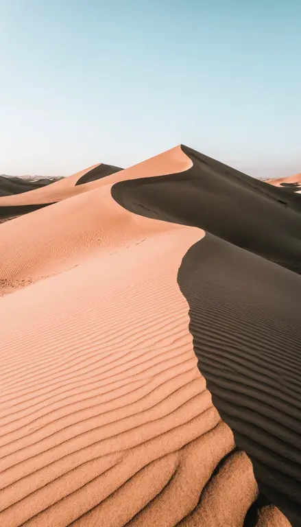 Dunas del desierto · 2