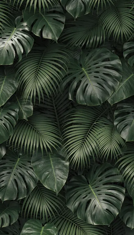 Wallpaper Hojas tropicales · 1
