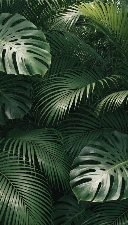 Hojas tropicales · 2