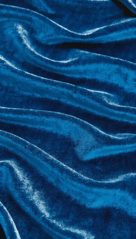 Terciopelo azul · 1
