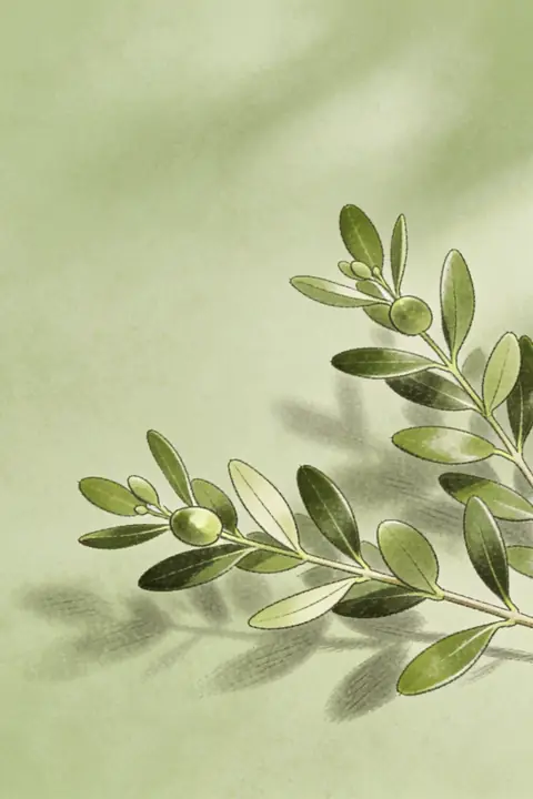 Ilustración botanical-illustration-of para save-the-date