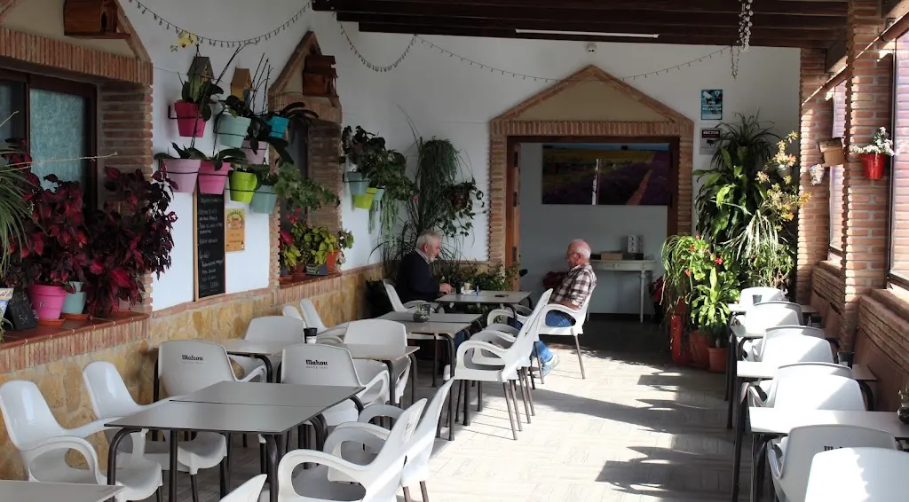 Foto de Restaurante El Panal de la Reina