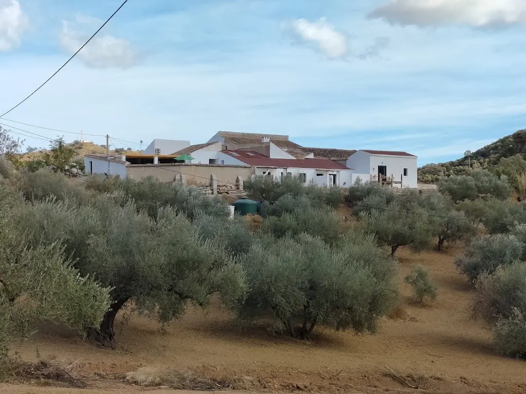 Foto de Finca Elements