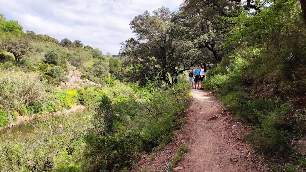 Foto de Sendero Estación de Benaoján - Estación de Jimera de Líbar