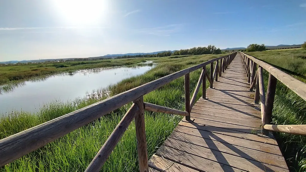 Foto de Reserva Natural de la Laguna de Fuente de Piedra