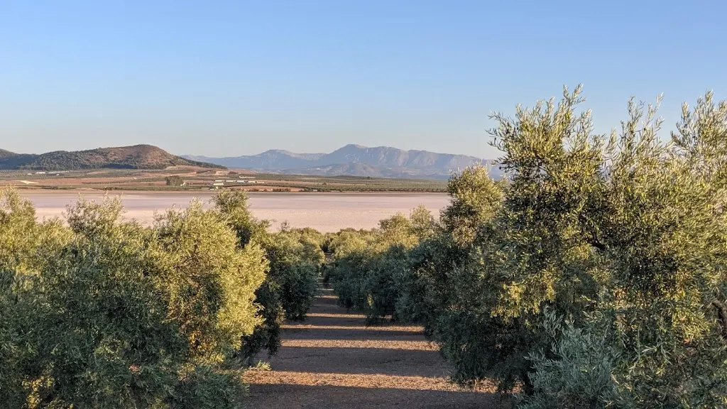 Foto de Aceites El Labrador