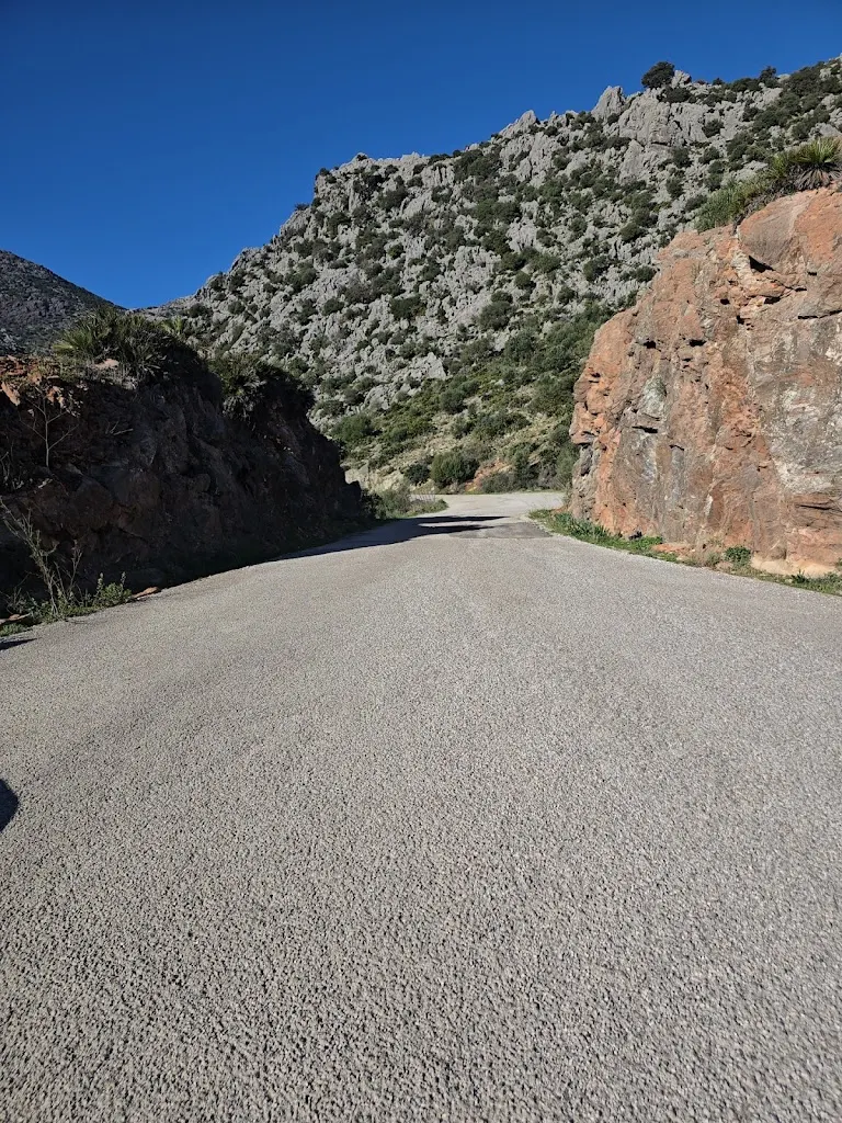 Foto de Cueva de la Pileta