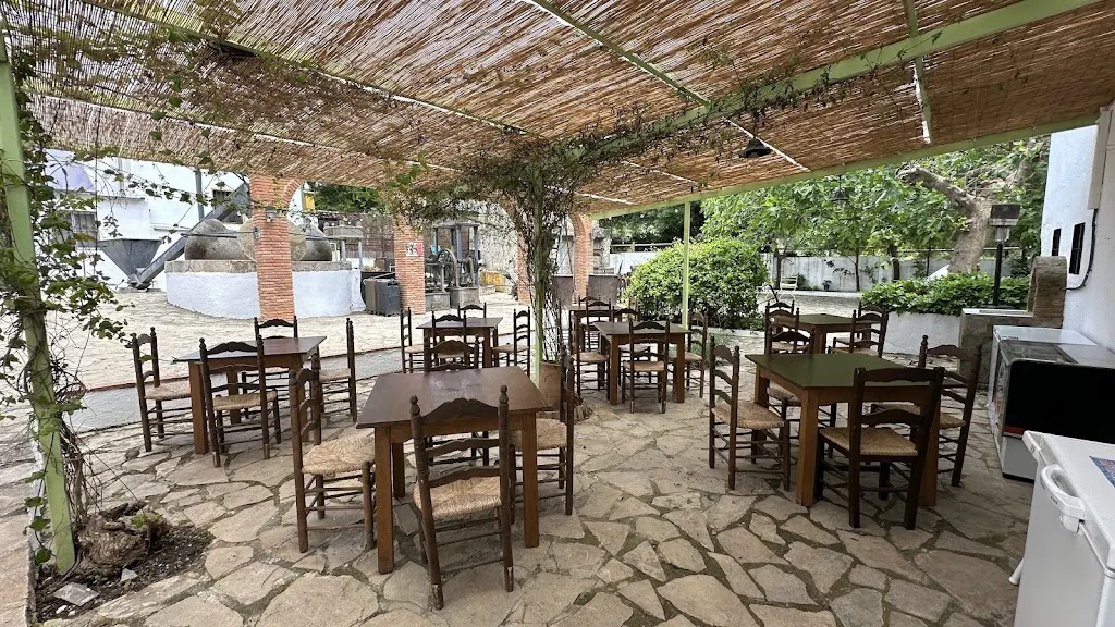 Photo of Paladar Jabalí